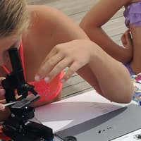 Bimbi Microscopio
